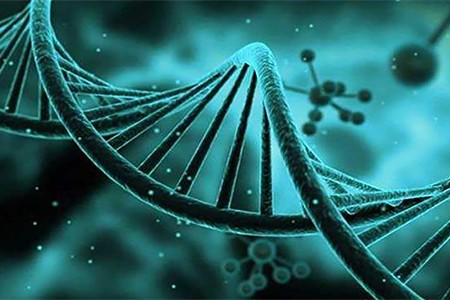 在什么条件下可以做“试管婴儿”？